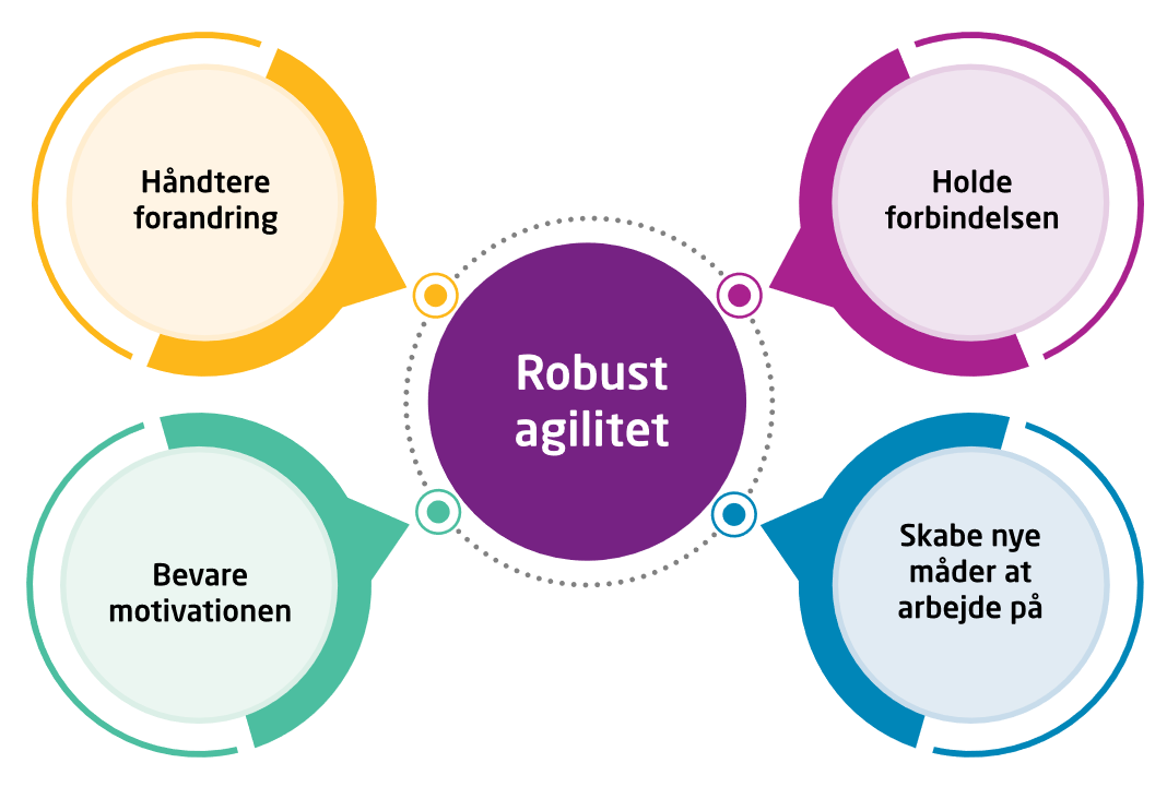 The Resilient Agility Model